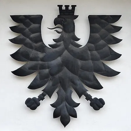 Schwarzer Adler