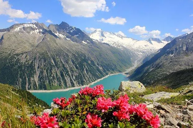 Schwarzer Adler Hotel 3*