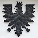 Schwarzer Adler